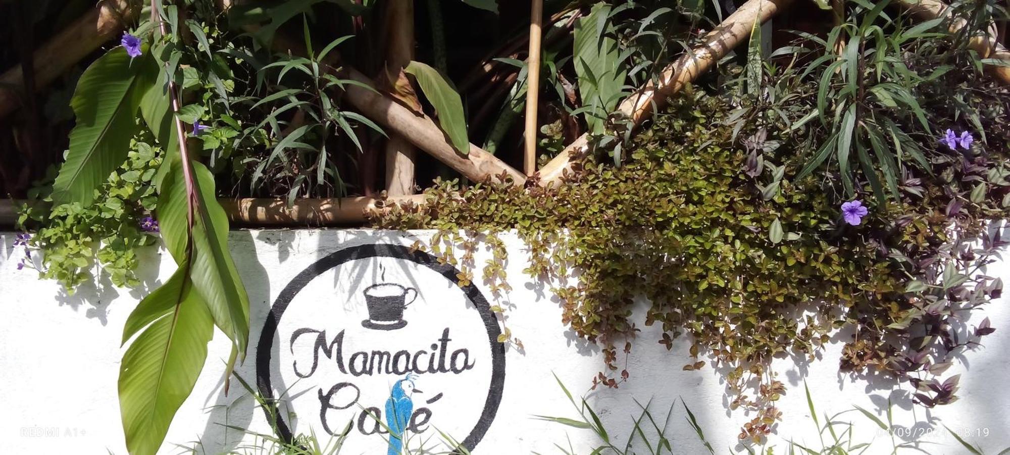 Mamacita Cafe House Hotel Moyogalpa Luaran gambar